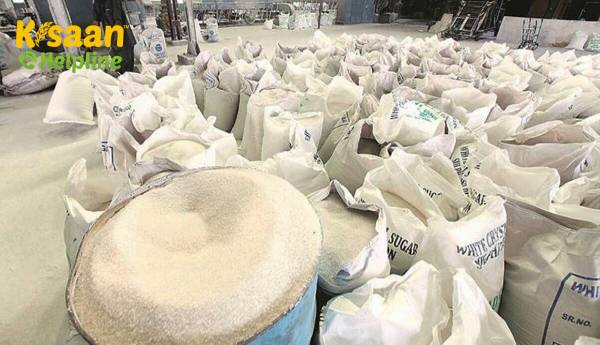 चीनी उत्पादन 15 नवंबर तक लगभग 3 गुना बढ़कर 14.10 लाख टन: इस्मा(इंडियन शुगर मिल्स एसोसिएशन)